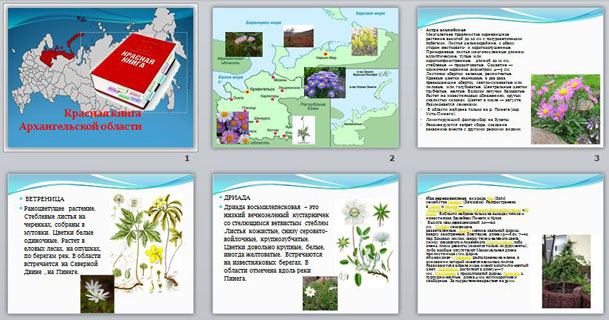 Красная книга архангельской области презентация