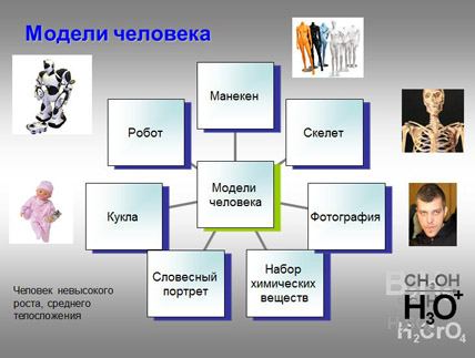 Атрибут модели