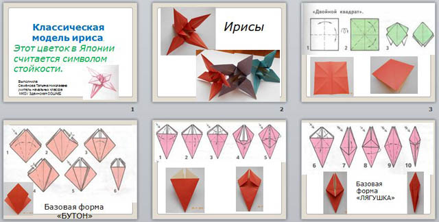 презентация классическая модель ириса