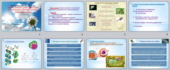 Презентация Жизнь. Основные уровни организации живой природы. Основные признаки живых организмов