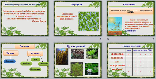 презентация мнообразие растений и их значение