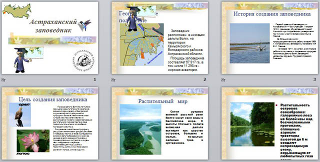 Астраханский заповедник презентация по географии 8 класс