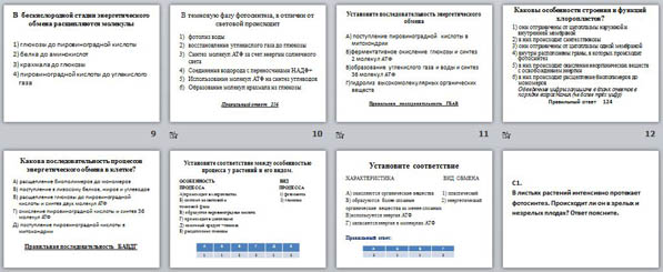 Презентация Обеспечение клеток энергией