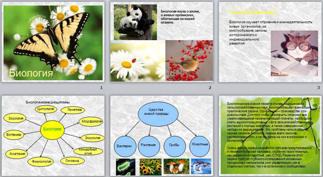 Какой урок изучает биология