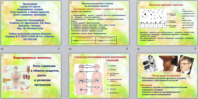 презентация эндокринная система