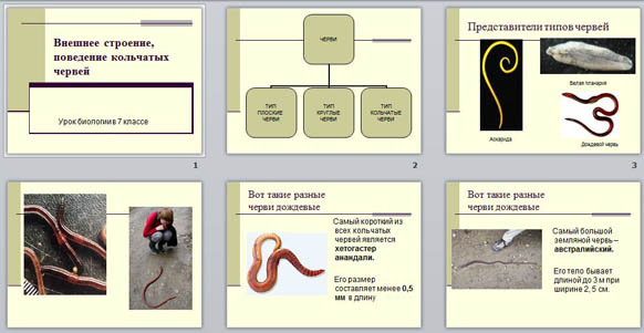 Презентация Внешнее строение и поведения кольчатых червей