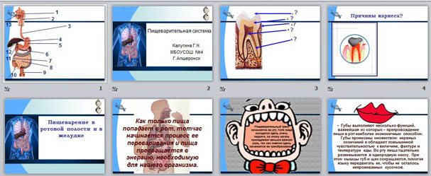 Презентация Пищеварение в ротовой полости и желудке