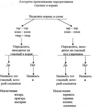 Алгоритм правописания чередующих гласных в корнях