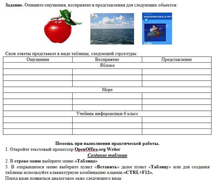 Пример практической работы по информатике