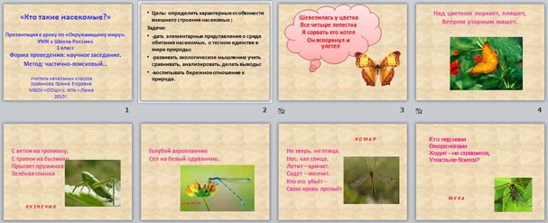 Презентация Насекомые