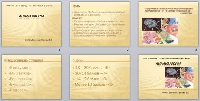 презентация анализаторы