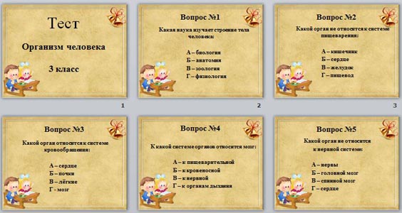 Тест организм человека 3