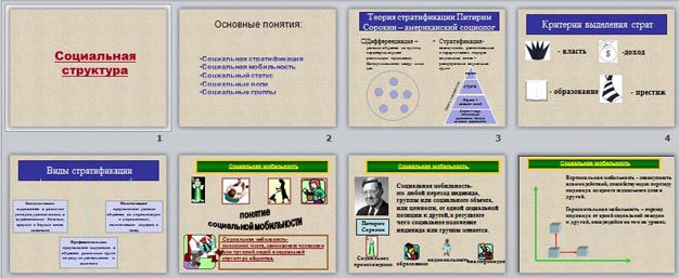 Презентация социальная структура