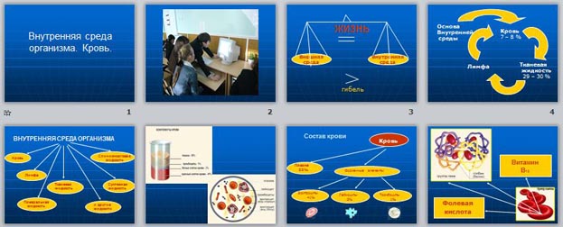 презентация внутрення среда организма. кровь