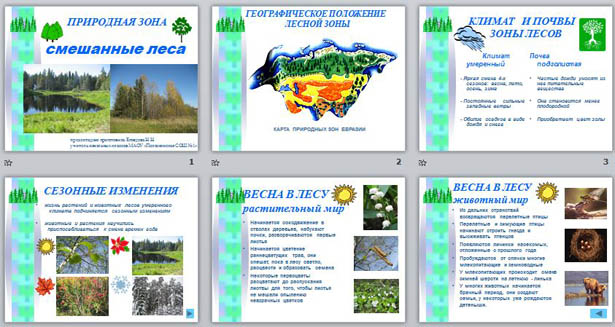 презентация природная зона. смешанные леса