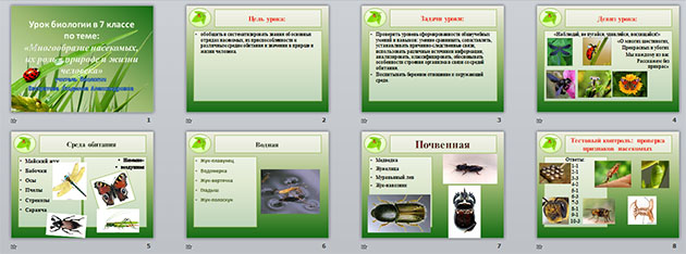 Тест по биологии многообразие насекомых 7 класс