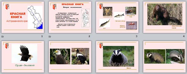 Животные красной книги астраханской области фото и описание
