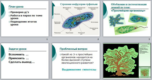 Презентация простейшие биология егэ
