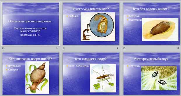 Обитатели пресных водоемов 2 класс школа 21 века презентация