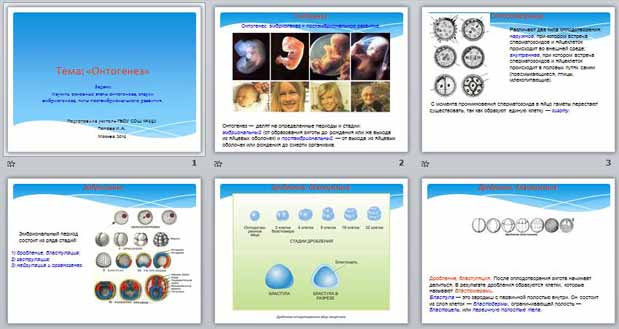 Презентация онтогенез 10 класс биология профильный уровень