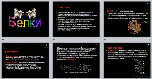 Презентация Белки
