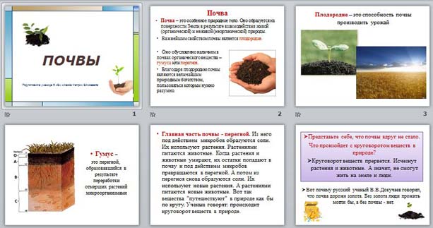 Почвы география 7 класс