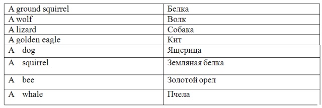 Разработка урока английского языка Альбом Омара