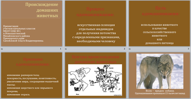 Центры происхождения домашних животных презентация