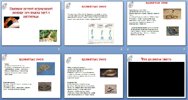 Презентация по ОБЖ Первая медицинская помощь при укусе змеи и насекомых