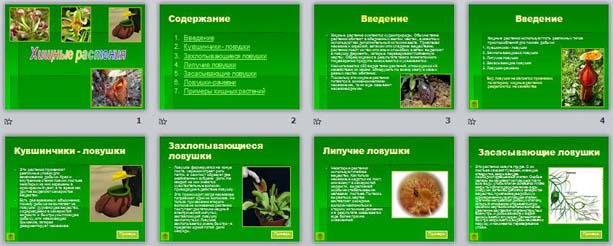 Презентация хищные растения 6 класс