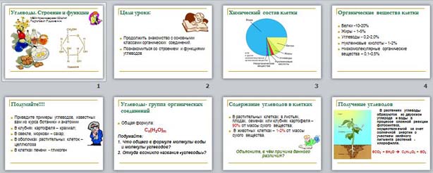 Презентация по химии Характеристика класса углеводы