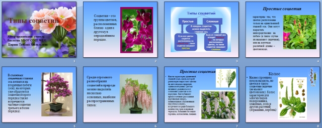 Презентация по биологии Соцветия и их типы