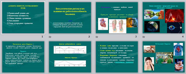 Презентация по ОБЖ Биологические ритмы и их влияние на работоспособность человека