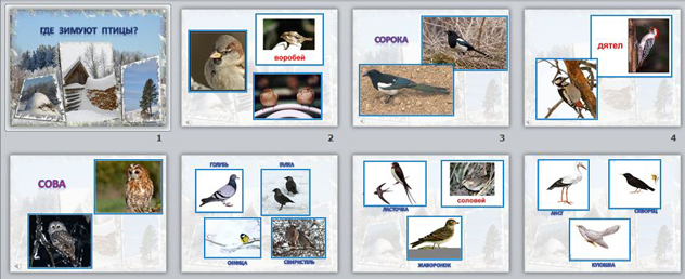 Презентация по окружающему миру Где зимуют птицы?