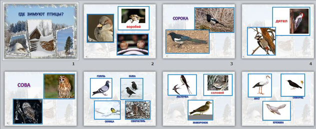 1 класс окружающий мир где зимуют птицы презентация 1 класс окружающий мир