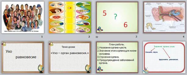 Презентация к уроку окружающего мира на тему Ухо - орган равновесия