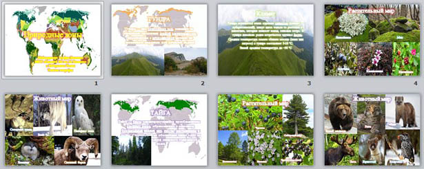 Презентация к уроку географии Природные зоны