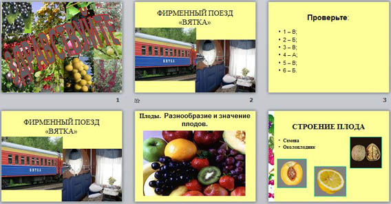 презентация по биологии плод. его разнообразие