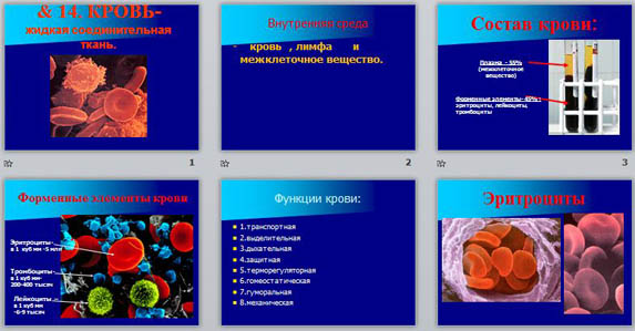 презентация строение и функции крови