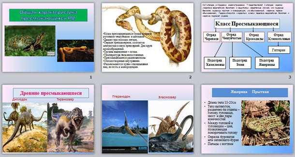 Разнообразие пресмыкающихся презентация 7 класс. Разнообразие древних пресмыкающихся. Общая характеристика пресмыкающихся. Буклет про пресмыкающихся. Классификация пресмыкающихся 7 класс биология.