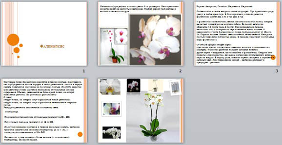 презентация по биологии фаленопсис