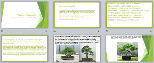 презентация по биологии бонсай