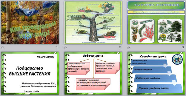 Растения конспект урока 3 класс. Подцарство высшие растения конспект. Подцарство высшие растения 7 класс. Подцарство высшие растения конспект 7 класс. Какие отделы входят в Подцарство высшие растения.