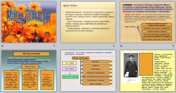 Презентация по биологии Методы селекции