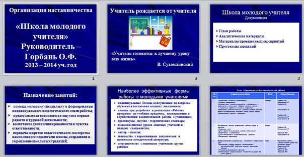 Проект наставничество в школе