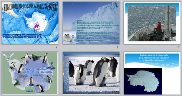 Презентация по биологии Живые организмы в суровых условиях Антарктики