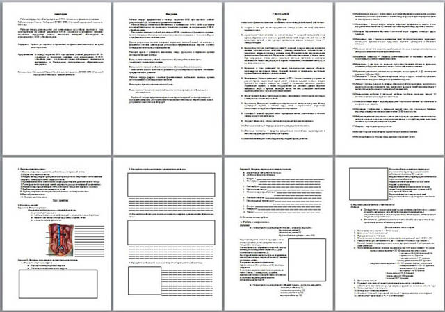 Рабочая тетрадь по теме Мочевыделительная система человека