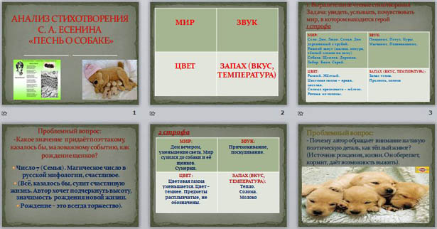Есенин песнь о собаке презентация 6 класс
