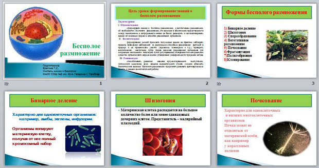 Презентация к уроку биологии Бесполое размножение
