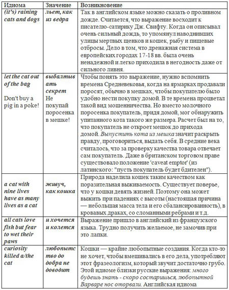 История возникновение английских идиом о любимых питомцах в Британии